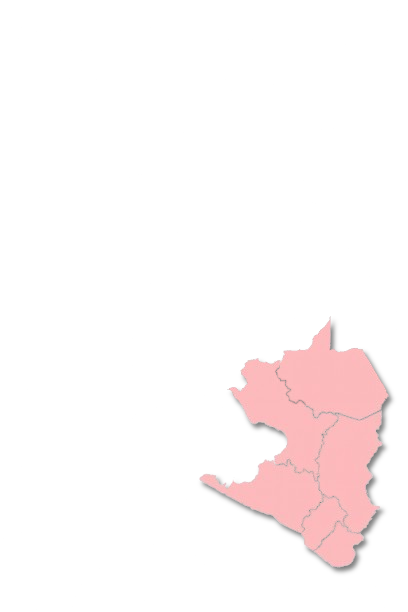 Región Sur